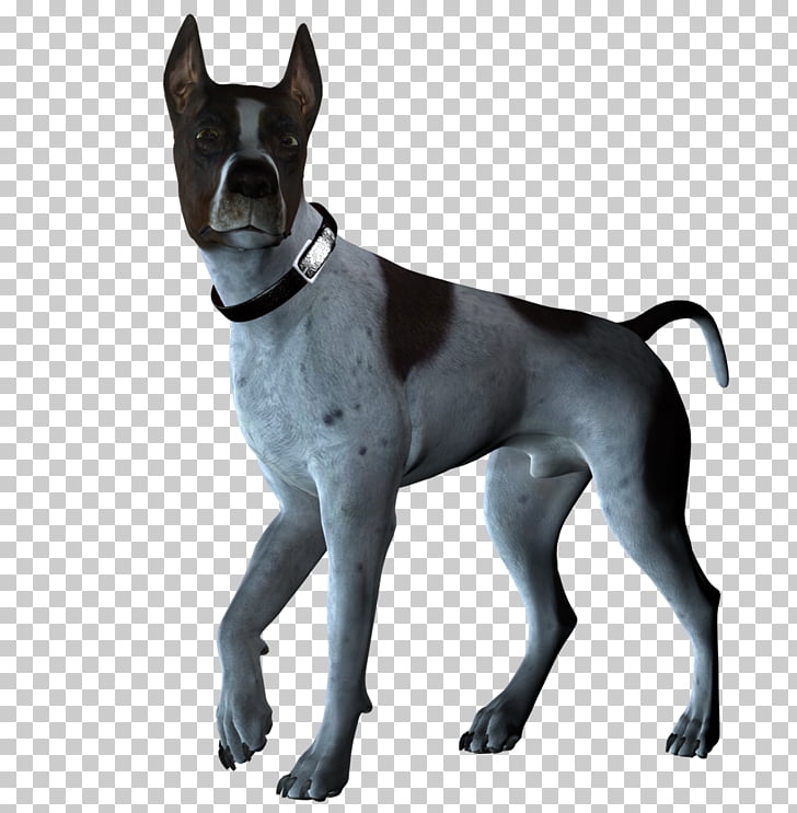 Great Dane Dogs Png Clipart Free Cliparts Uihere