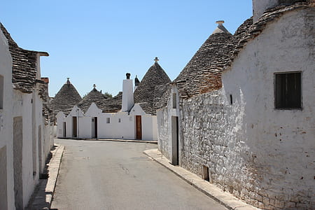 houses beside road thumbnail