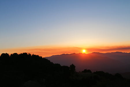 silhouette of trees thumbnail