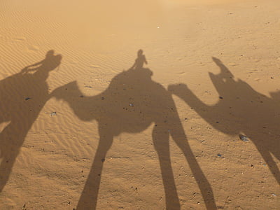 three camel shadow on sand thumbnail