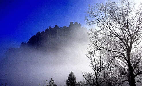 mountains covered by fog thumbnail