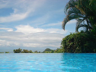 landscape photo of trees near pool thumbnail
