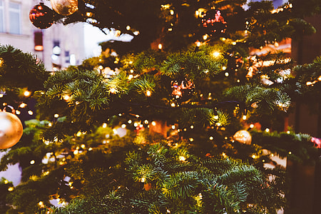 Christmas Tree Lights thumbnail