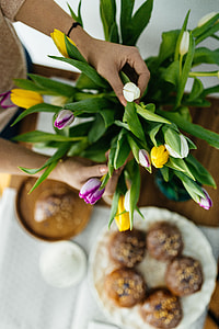 Delicious homemade breakfast thumbnail