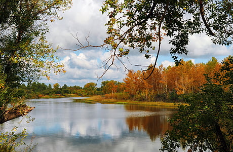 landscape photography of trees near body of water during daytime thumbnail