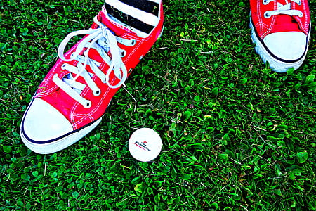 person showing pair of red Converse All-Star sneakers thumbnail