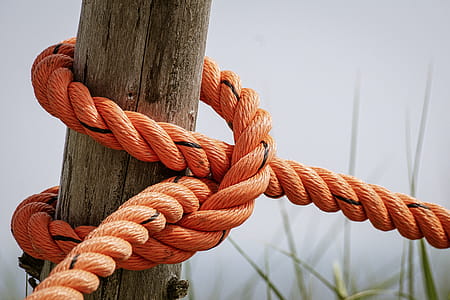 Orange Rope Wrapped Brown Wood Log thumbnail