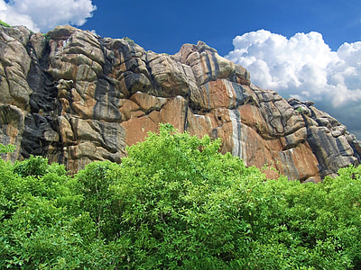 brown rock formation and trees thumbnail