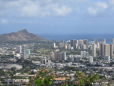 aerial photography of urban city during daytime thumbnail