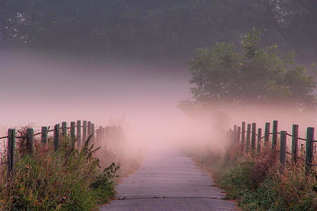 brown wooden fence thumbnail