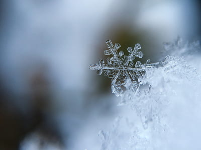 photography of snowflakes thumbnail