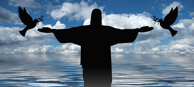 silhouette of Christ The Redeemer statue and pigeons in front of large body of water thumbnail