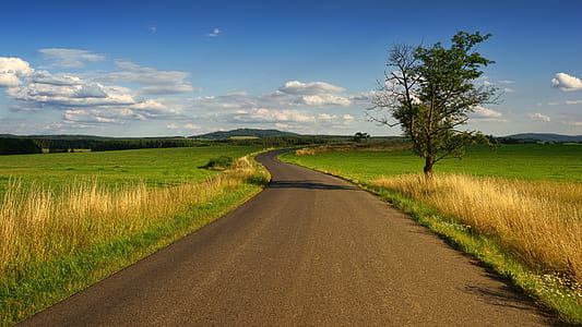 landscape photo of asphalt road between grass field thumbnail