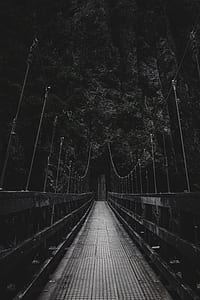 grayscale photography of footbridge thumbnail