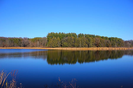 landscape view of forest in island thumbnail