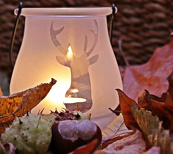 whit reindeer print table lamp surrounded by leaf thumbnail