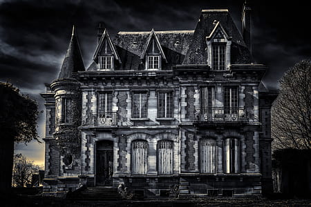 grey house near leafless tree thumbnail