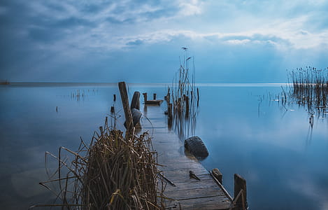 Brown Wooden Dock during Sunset thumbnail