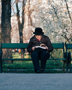 woman reading book while sitting on bench under tree during daytime thumbnail
