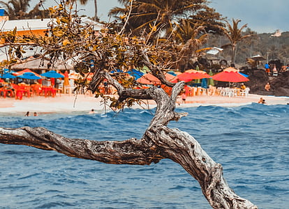 Photo of Beach thumbnail