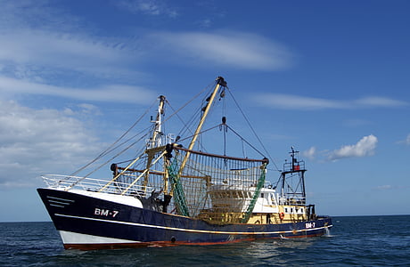 white and blue BM-7 shrimp fishing vessel on body of water under white and blue sky at daytime thumbnail