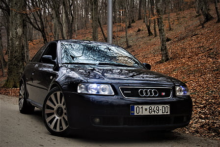 black Audi sedan parked in the middle of the forest thumbnail