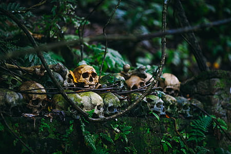 skull painting thumbnail