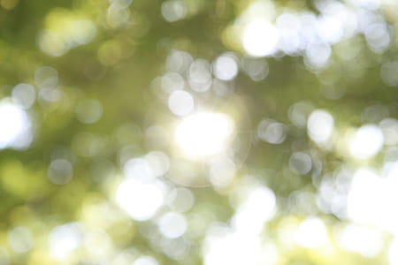 bokeh photography thumbnail
