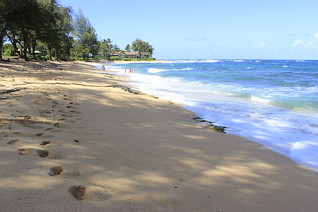 foot print on shore during daytiume thumbnail