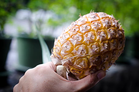 Local pineapple in Thailand thumbnail