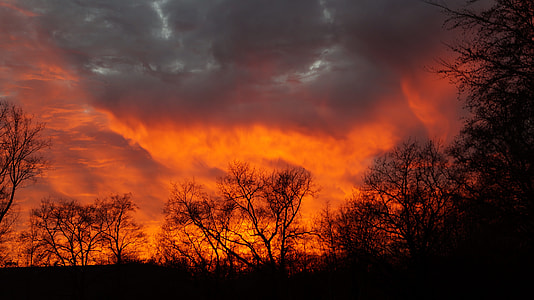 Natural Phenomenon, Sunset thumbnail