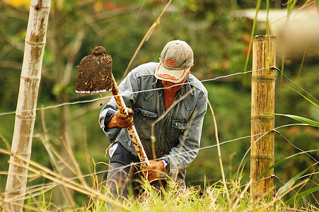 man gardening at daytime thumbnail