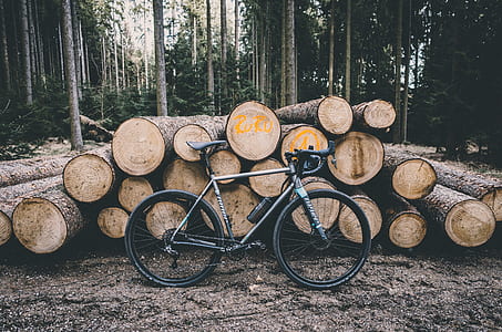 black and gray mountain bike leaning on brown wood logs thumbnail