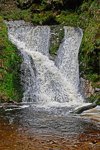 waterfalls surrounded by green plants thumbnail