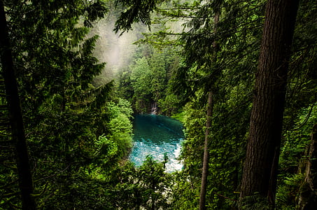 wood, landscape, nature, water thumbnail