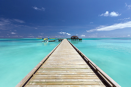 brown wooden dock surrounded by sea thumbnail