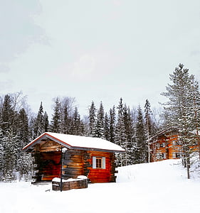 red and brown wooden shed covered with snow taken at daytime thumbnail