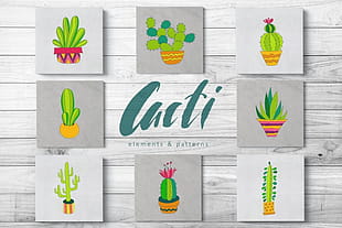 Cacti Vector Patterns