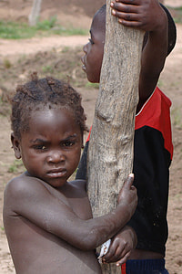 two boys holding the tree trunk during daytime thumbnail