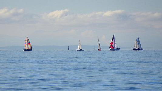 boats sailing thumbnail