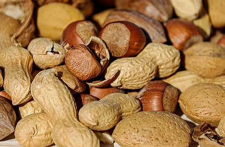close-up photography of assorted nuts thumbnail