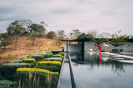 pool near plants at daytime thumbnail