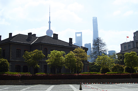 green trees near buildings thumbnail