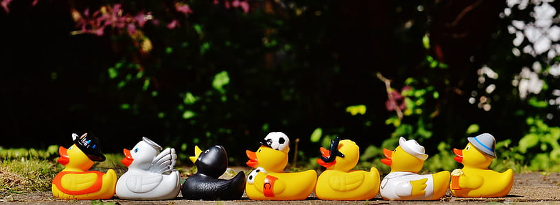 close-up photography of aligned yellow, white, and black rubber ducklings near green trees during daytime thumbnail