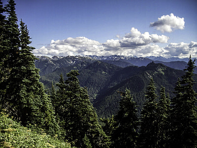 Switchback Trail at Olympic National Park, Washington thumbnail