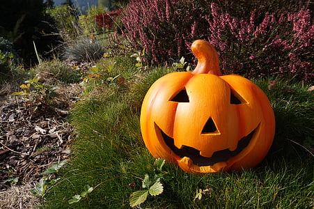 jack-o'-lantern decor on grass thumbnail
