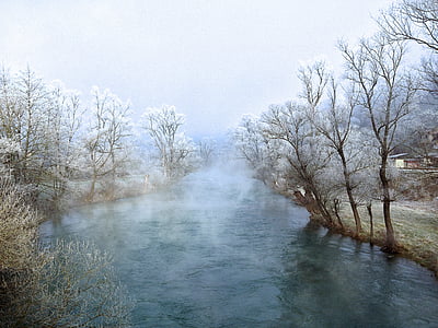 body of water surrounded bare trees thumbnail