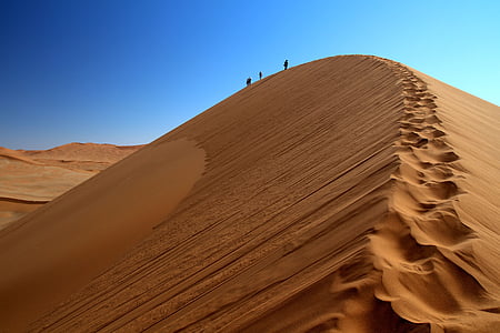 photo of desert thumbnail
