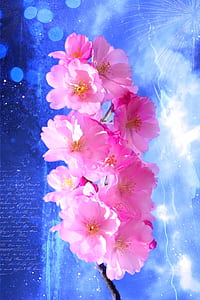 pink petaled flowers thumbnail