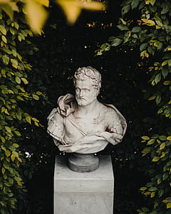 man bust under green leaf plants thumbnail